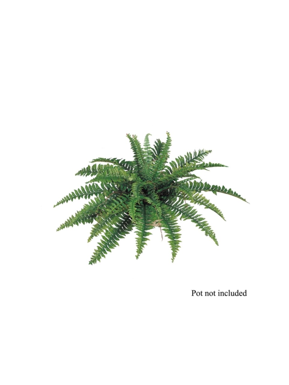 34" Boston Fern Set - 6-Piece, Lush Greenery, Indoor/Outdoor Decor, Ideal for Homes, Offices, or Events - Perfect for Year-Round Display, Floral Home by Artificial Flowers